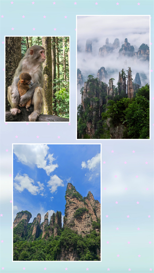 1785381891614069.jpg 微信图片_20260730110732.jpg